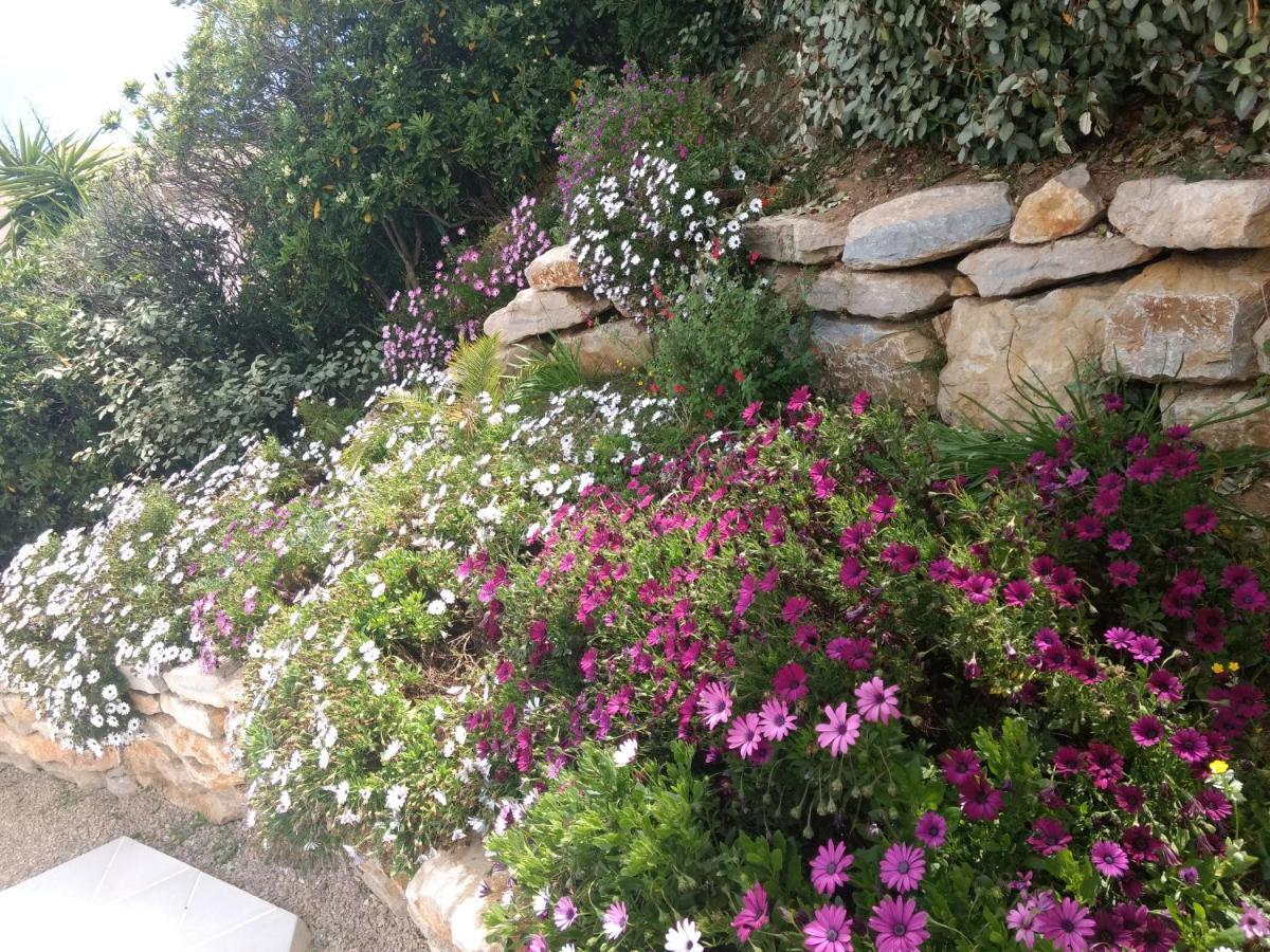 Studio Quietude Saint Aygulf Dış mekan fotoğraf